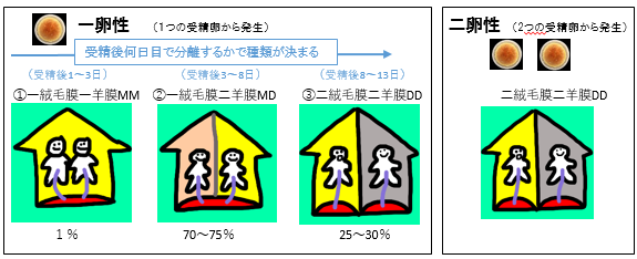 一卵性・二卵性