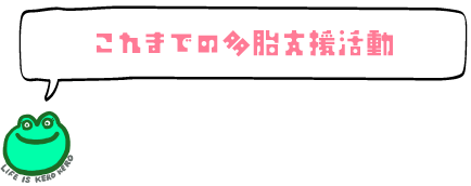 これまでの多胎支援活動