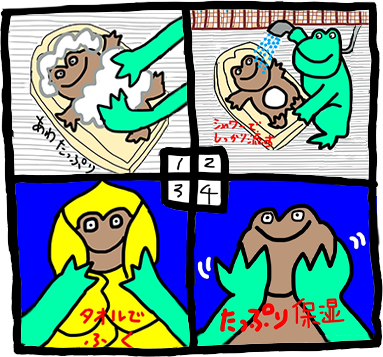 泡と保湿のスキンケア